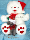 Abby And Christmas Bear - 2003